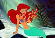 Ariel multipal seahorses