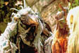 Skeksis